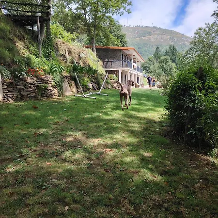 Holiday park Viver Montanha